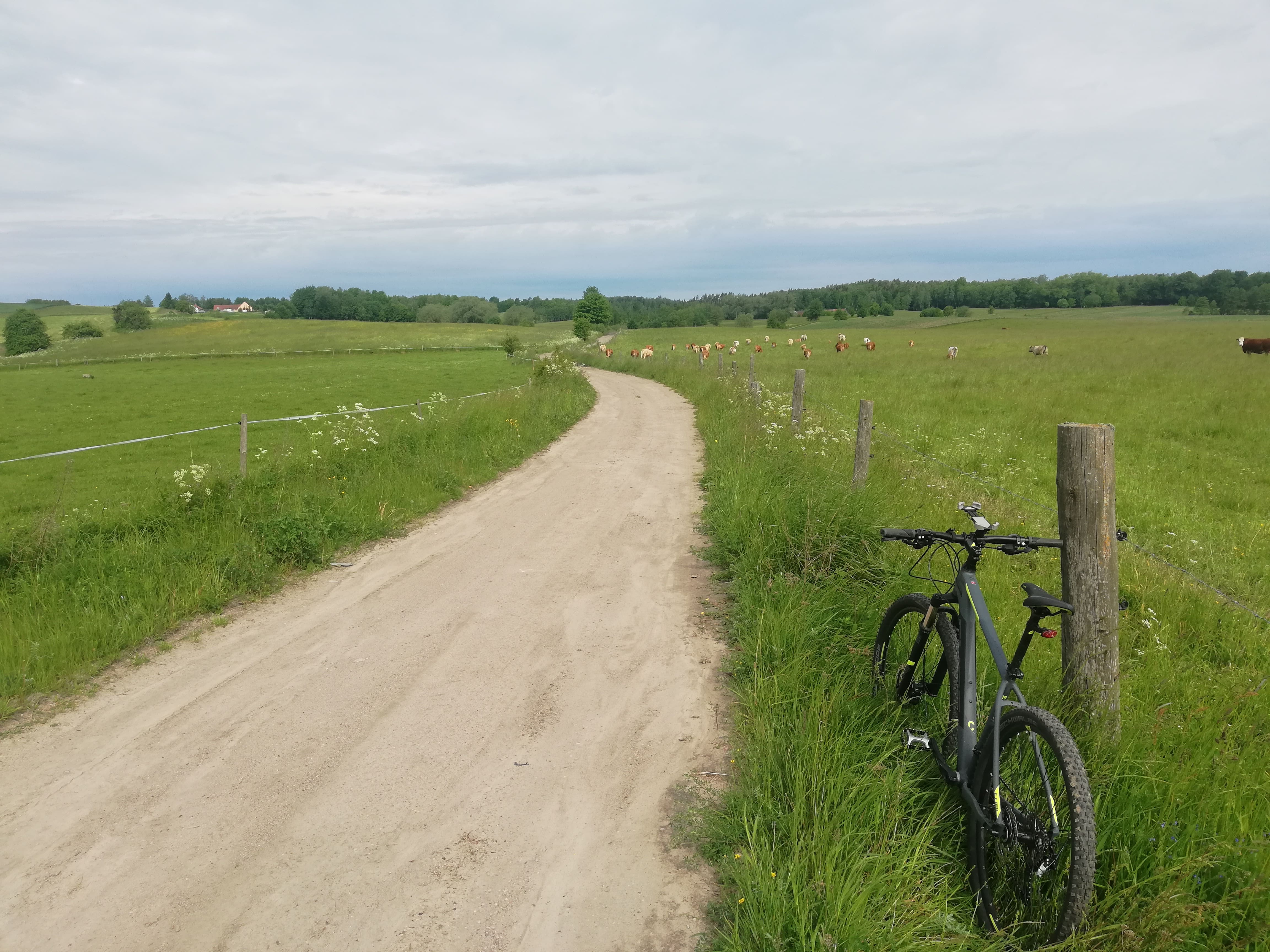 Aktywności - Udogodnienia