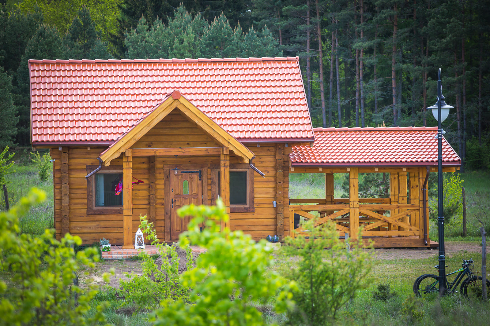 Sosnowy Dom - Drewniany dom z bali - 2